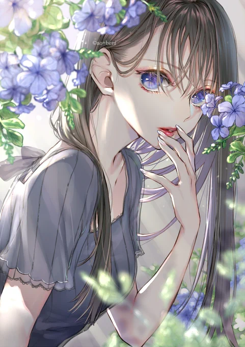 ルリマツリ 
