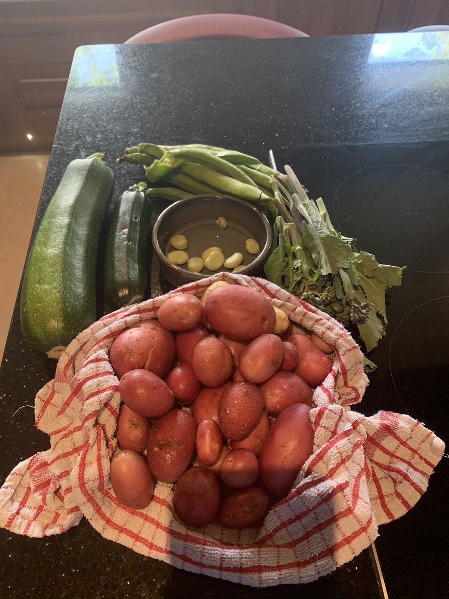 Keithcareth's tweet photo. Nice wee haul from the tunnel. #homegrown #homegrownfood #lockdown2020 #polytunnel. #scotland #corgette #potatoes #purplebroccoli #runnerbeans https://t.co/0bQdMen8KQ