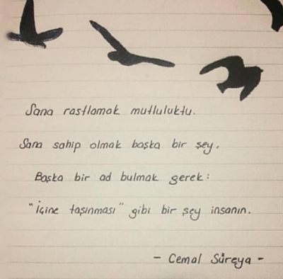 Cemal Süreya (@csureya) on Twitter photo 