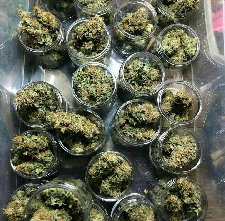 GreenBuds2's tweet photo. Shipping available, Evergreenbudsdispensary. com https://t.co/KokzOxDy0u
