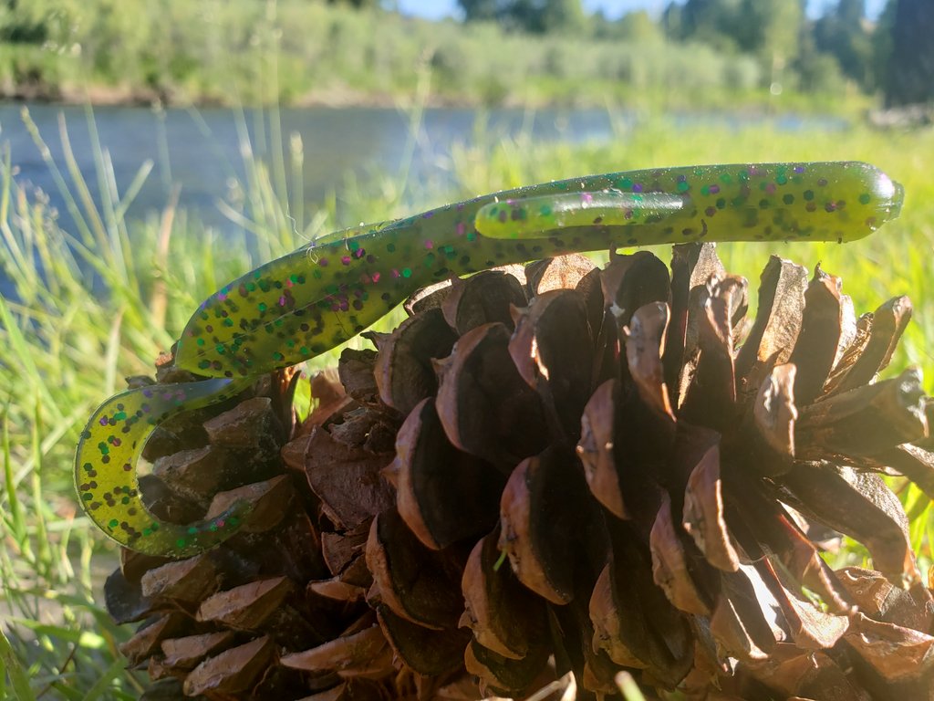 Bassreaperbaits's tweet photo. Perhaps the Pinnacle of creature baits, the hedgehog ( brush hog) style worm is a staple in a lot of boxes. Do you have it? Watermelon Candy shown
#brushhog #bassfishing #plasticworm https://t.co/Rwx8XmS7ki