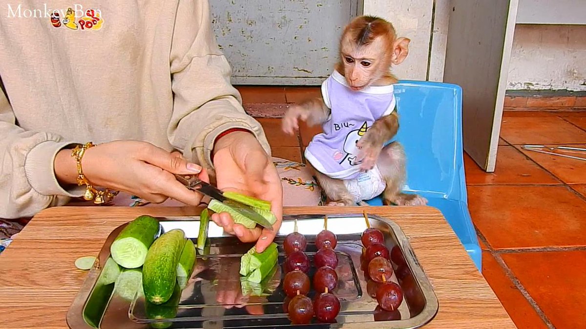 MonkeyBen3 tweet picture