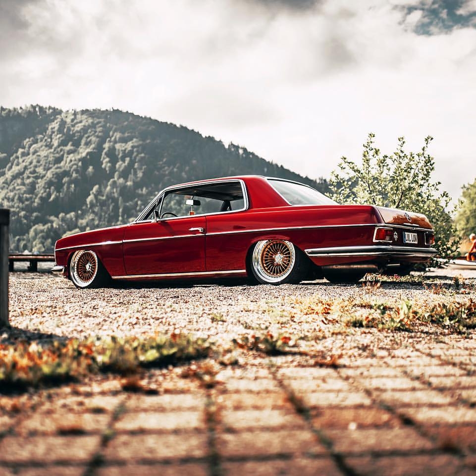 asphaltkillerz's tweet photo. That is... CRAZY!
Photo/owner @crazy.4.ink
-----
#250s #w108 #w109 #w111 #w112 #w114 #w115 #mercedesbenz #mercedes #benzroyals #baggedbenzes #baggedbenz #oldmercedesclub #meninbenz #stancemerc #benzkulture
➤ #asphaltkillerz
➤ #race
➤ #stance
➤ #show https://t.co/7gVJhD4L9d