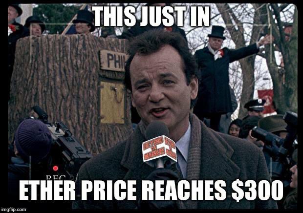 Groundhog tweet media