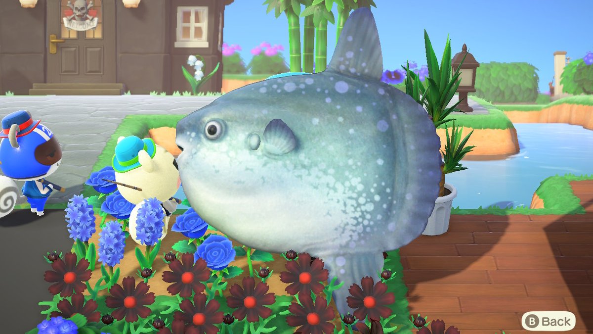 luicheukfung's tweet photo. #AnimalCrossing #ACNH #NintendoSwitch https://t.co/tn3iSRfxGo
