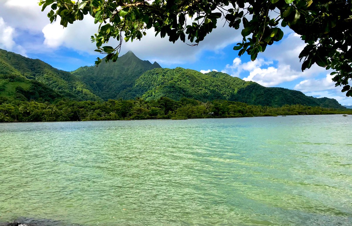 Today is #WorldMangroveDay! On the island of Tutuila, American Samoa, mangroves play a crucial role in protecting coastal communities and supporting social, cultural, and economic activities. In conserving these ecosystems, we also conserve ourselves.