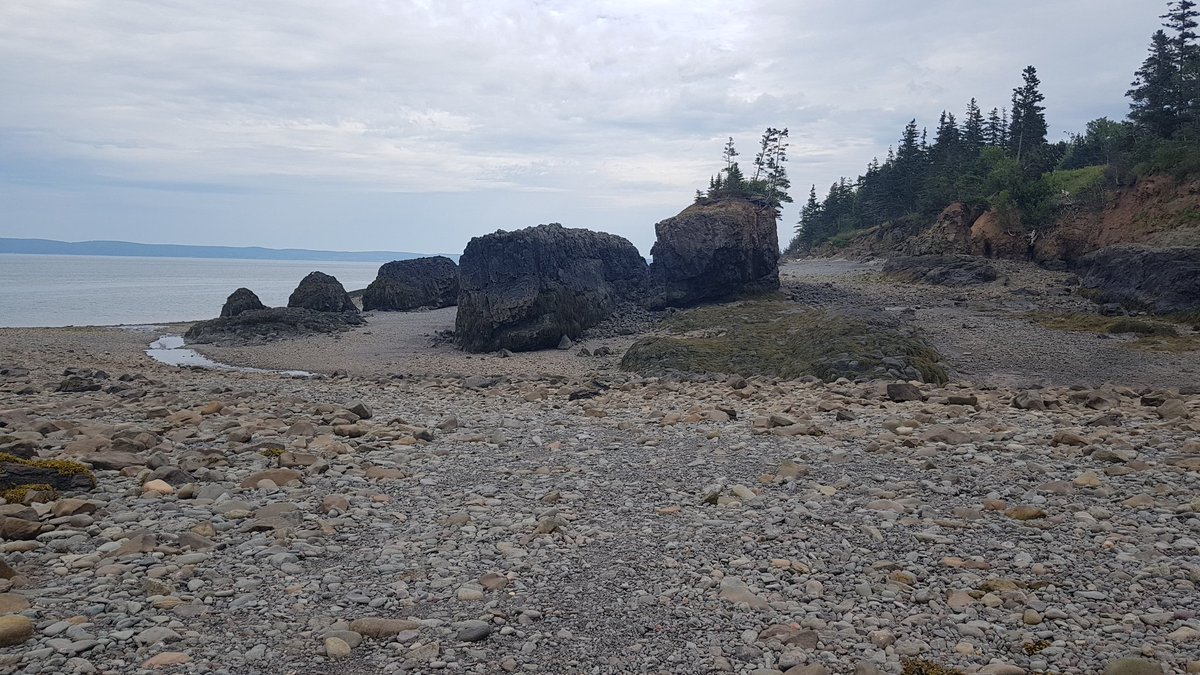 Wilbury70's tweet photo. Walking along the ocean floor with @KrisMicho #highesttides https://t.co/LJluZ8j4sK