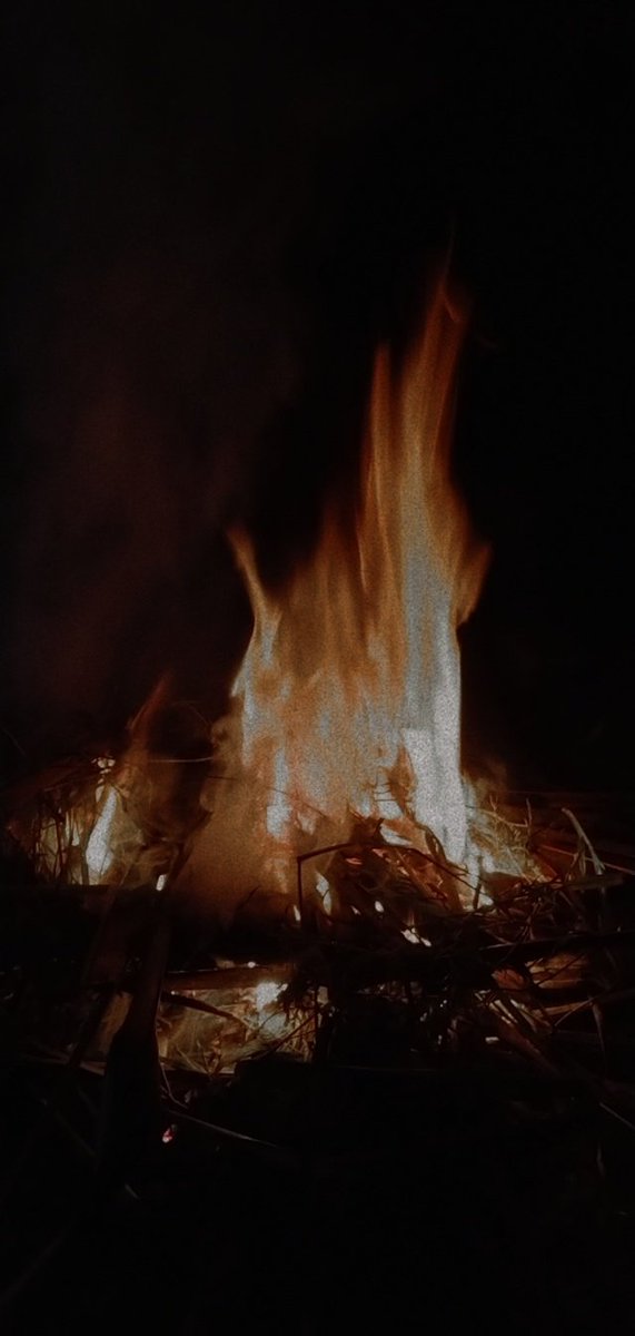 taammyy5's tweet photo. Bonfire. 🔥 https://t.co/rUjVOfXD4H
