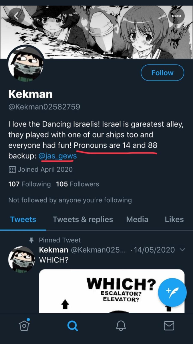 meme, the account has a profile that encouraged gassing Jews, while saying “Pronouns are 14 and 88” - this is a reference to “The Fourteen Words Slogan”: “We must secure the existence of our people and a future for white children” while 88 stands for “Heil Hitler.”