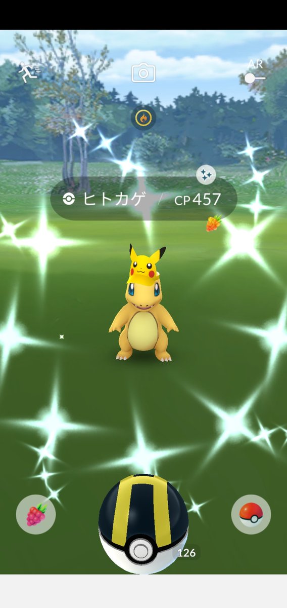 ぬのもめん 亀さん欲しかった 贅沢 ポケモンgo Goフェスト 色違い 御三家 ぬのもめん 亀さん欲しかった 贅沢 ポケモンgo Goフェスト 色違い 御三家