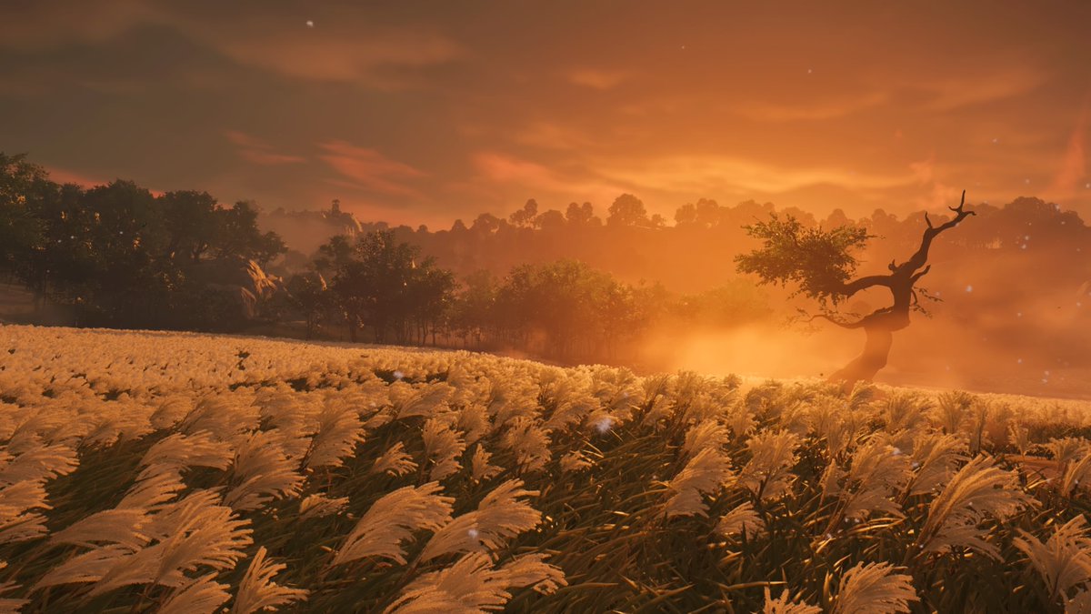 gregoldfield's tweet photo. Ghost Of Tsushima beautiful game design. GOTY
#GhostOfTshusima https://t.co/OD2Kff2iCC