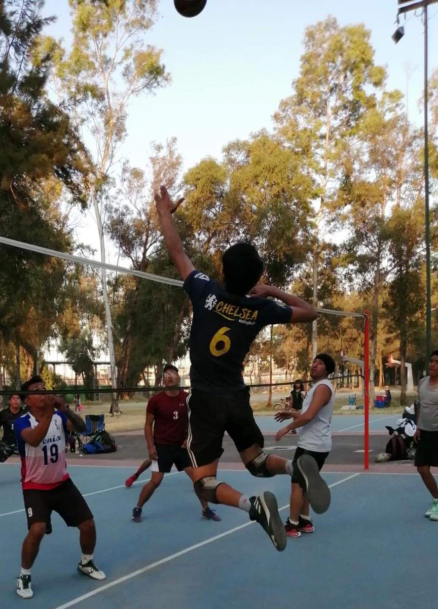 Mi pasión ♥️🏐