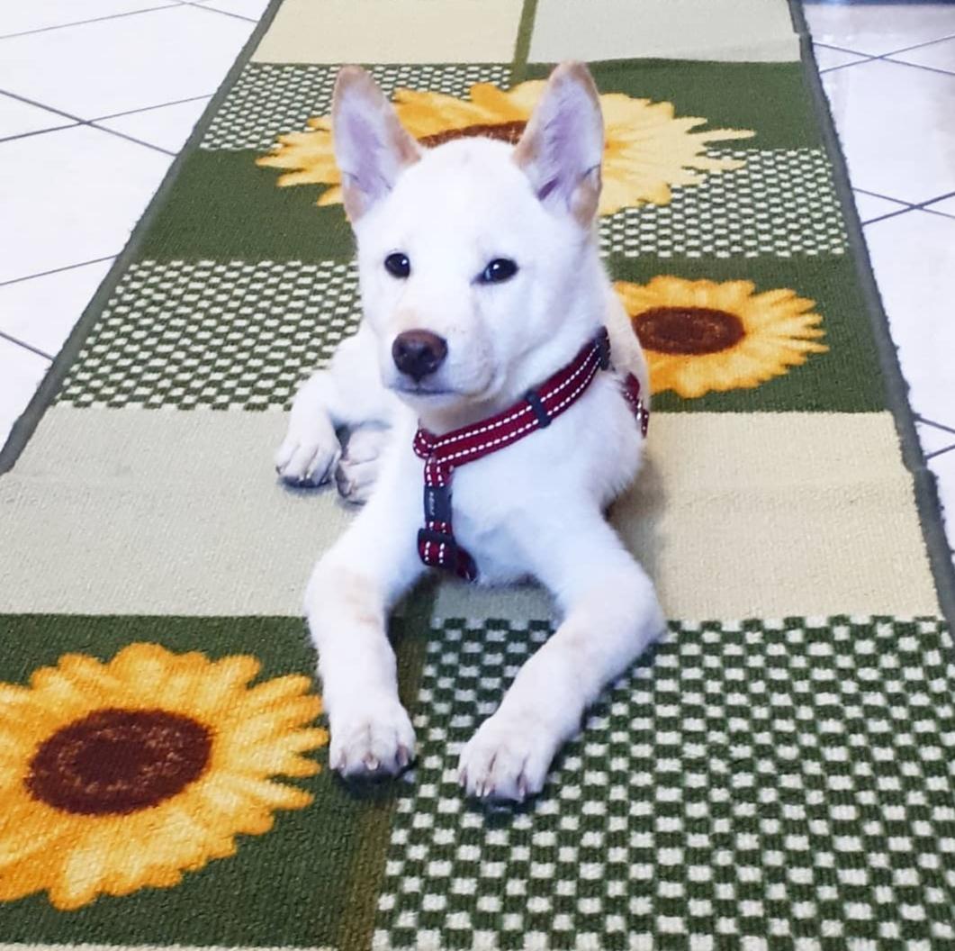 Caterina Puleo (@caterinapuleo3) on Twitter photo 