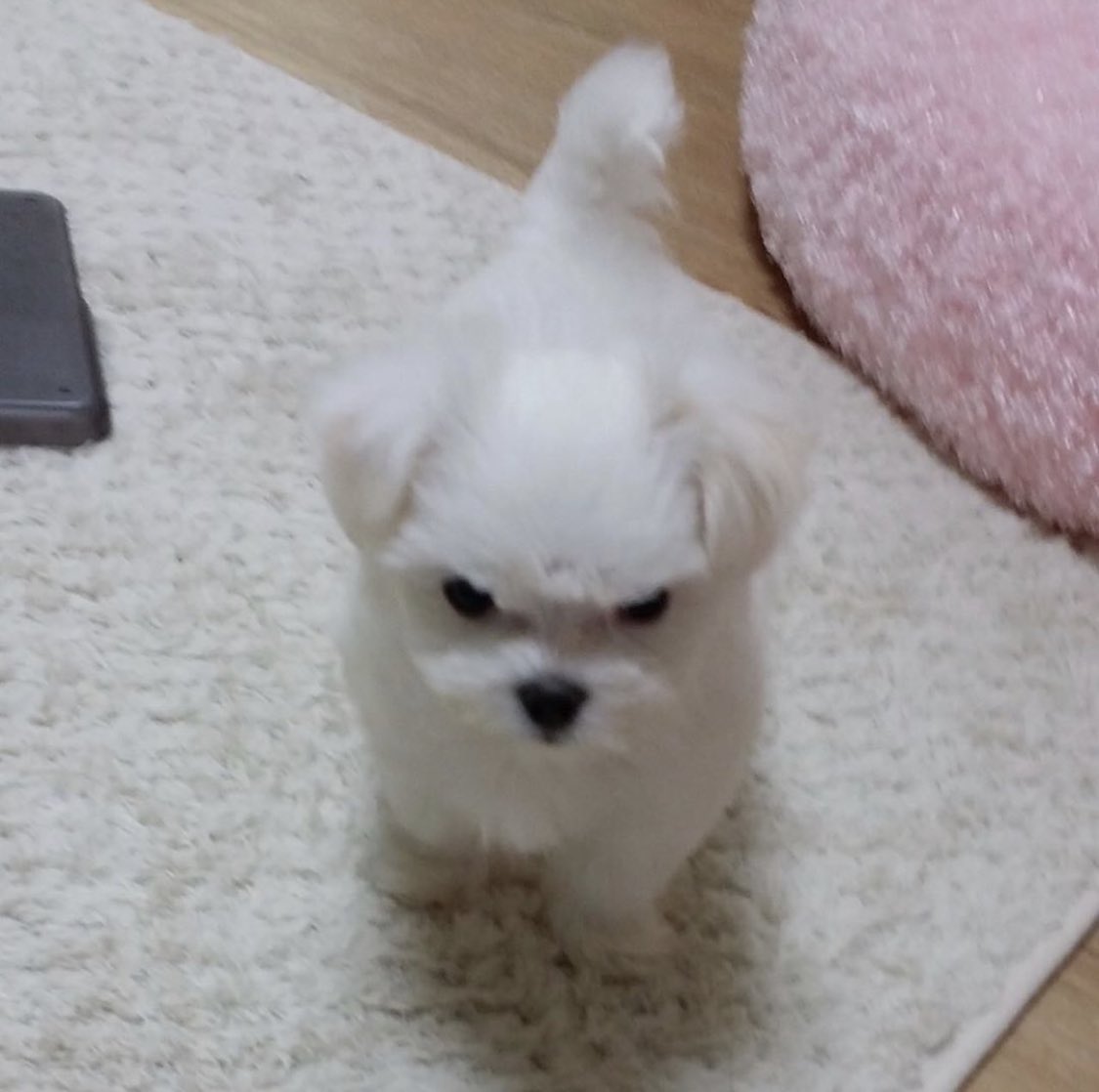 <a href="/boylovefivb/">บอย ปกรณ์</a> ใครจะแต่งกลอนให้อ่าน!!!!!!!!!!!!!!!