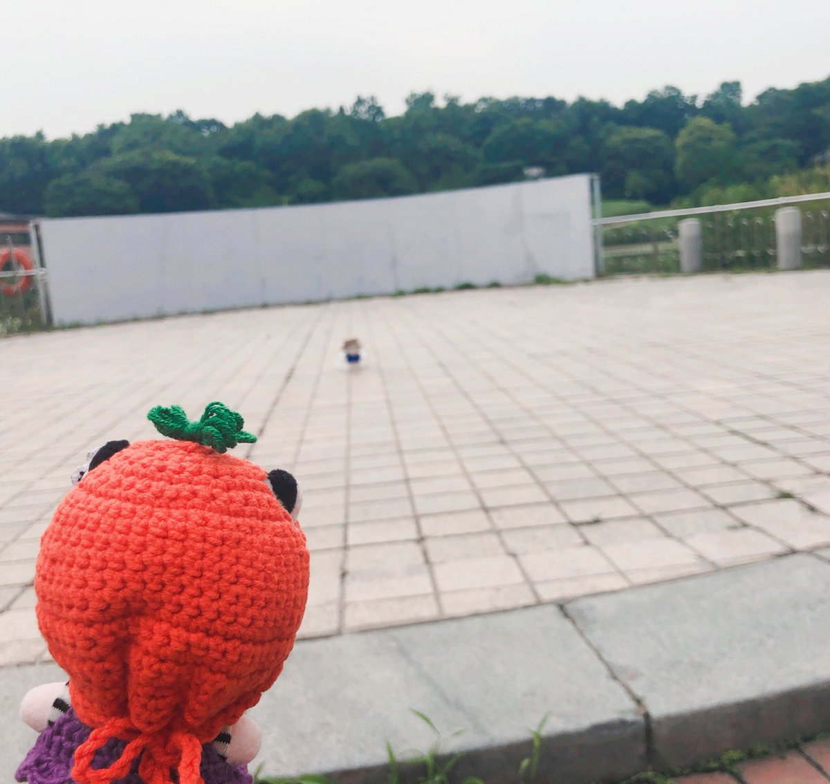 bbboorri's tweet photo. #푸른_여름날의_동호야_생일축하해
#HAPPY_26th_BAEKHODAY

이번 여름은 동호없는 수변공원
2020년 생일투어는 끝🐯 https://t.co/r1tDnp2yPq