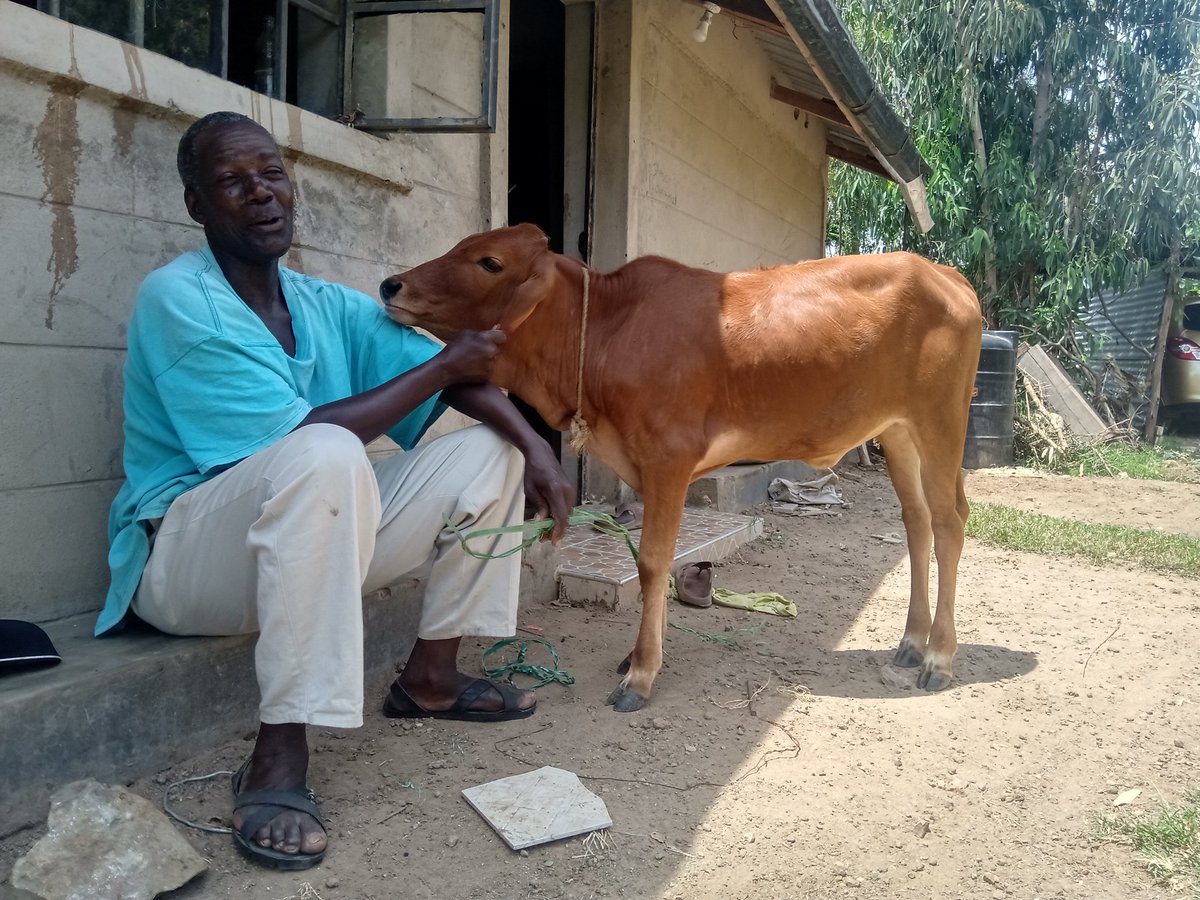Hadijah seeking out her dose of Belly Rubs from Wuod Nyaseme, my father.I love this Man, but I would never tell him because this is reality.