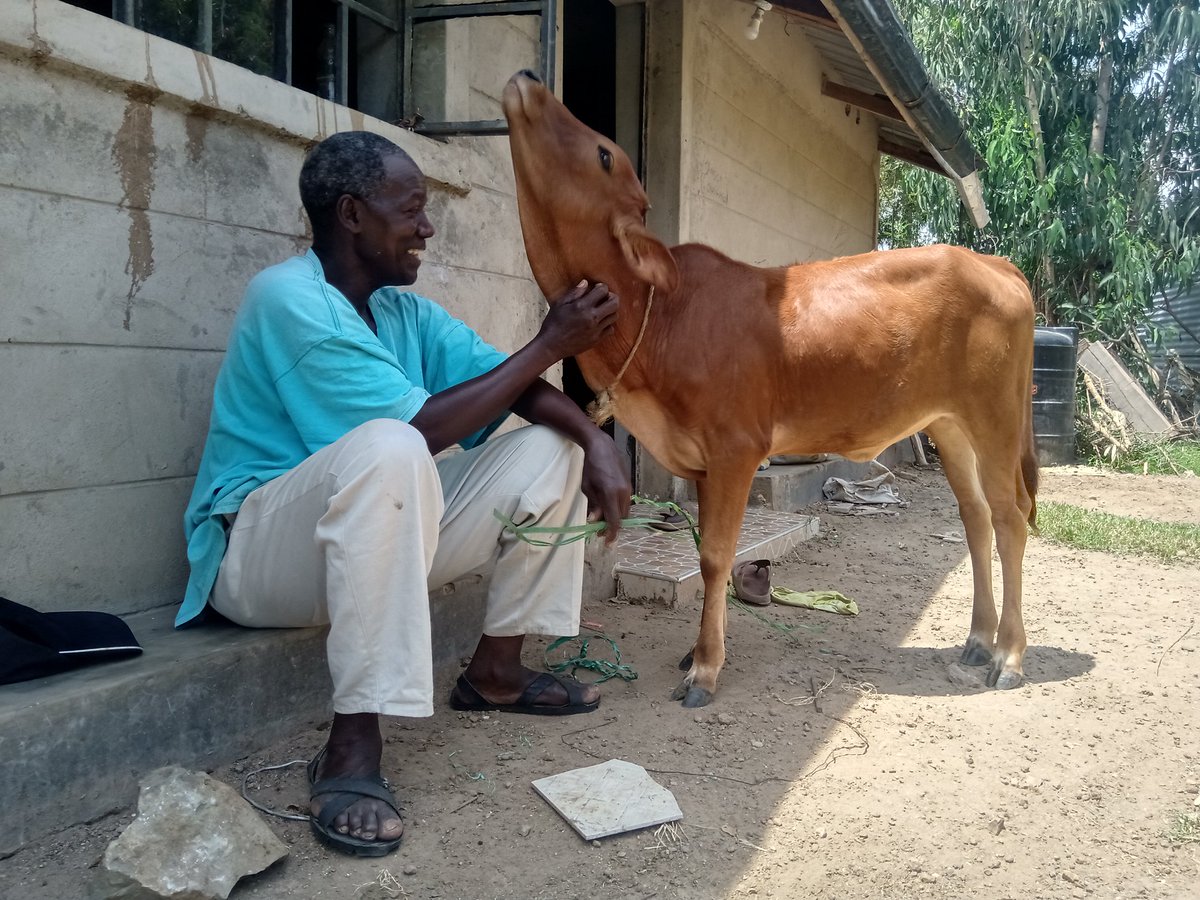 Hadijah seeking out her dose of Belly Rubs from Wuod Nyaseme, my father.I love this Man, but I would never tell him because this is reality.