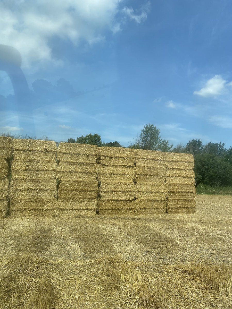 100 3x4 straw bales for sale 
30$a bale we load come pick up today in field
North of stratford 
450lbs