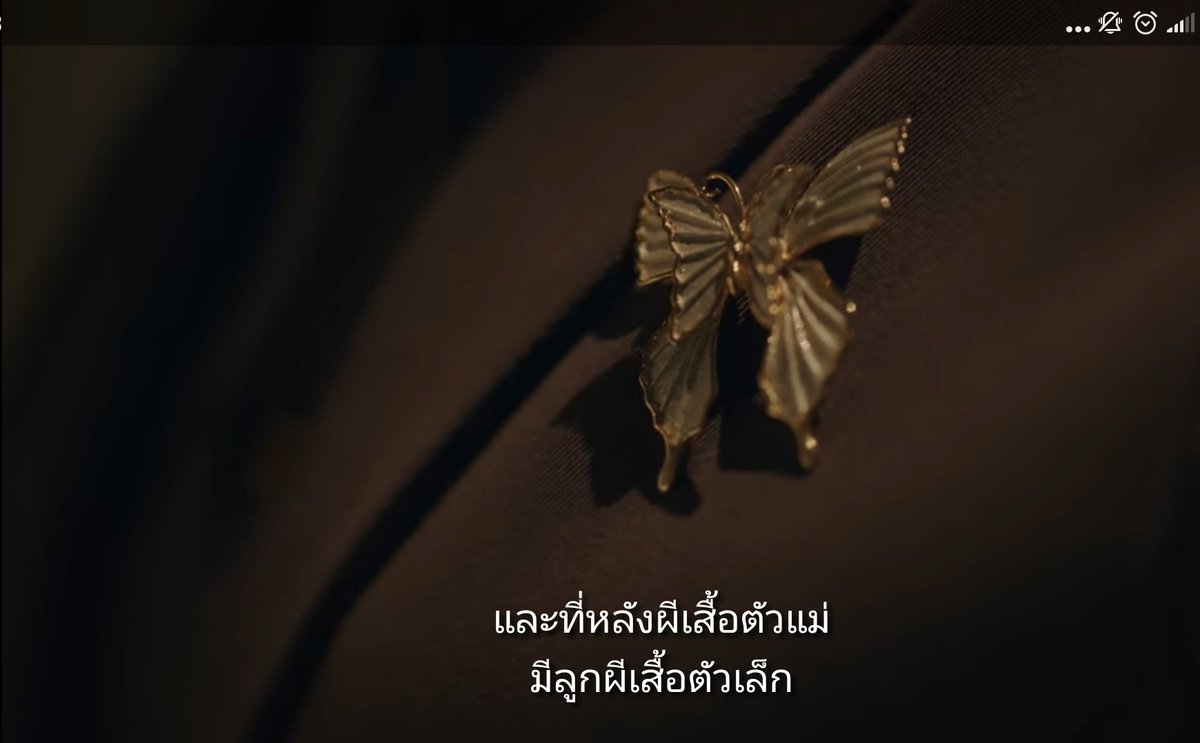โตแมงแตงแมว tweet media