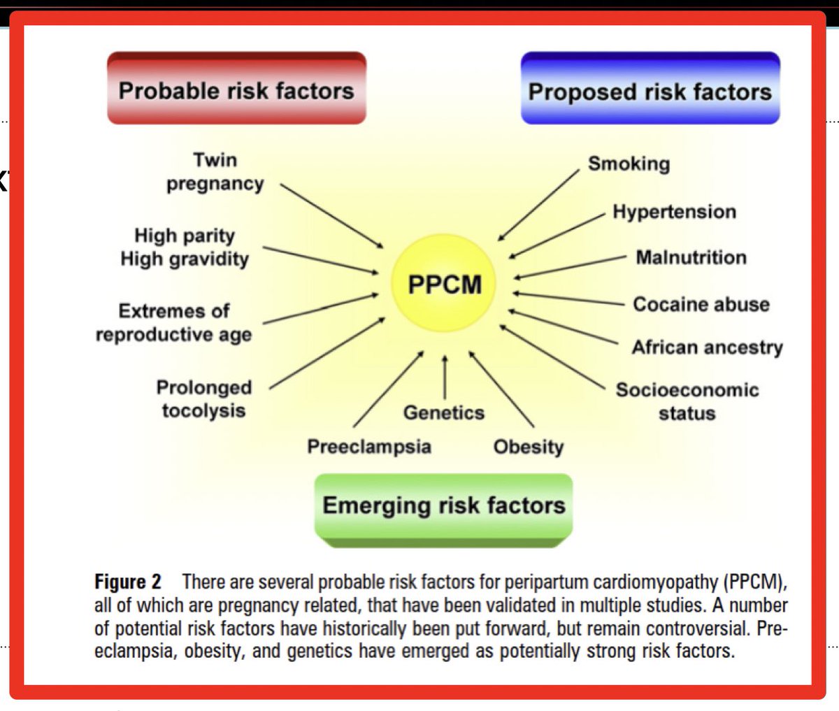 SamRRazaMD's tweet photo. Risk factors for Peripartum Cardiomyopathy as outlined by @RBP0612 #ASPC2 @ASPCardio @DrMarthaGulati @dramitkhera https://t.co/fq6D5QLBui