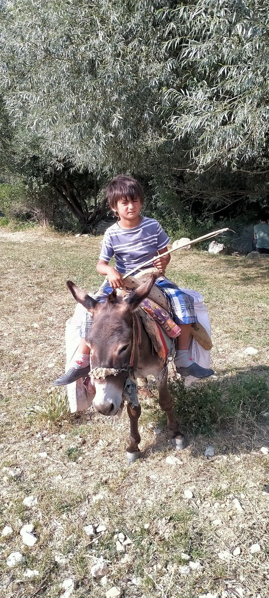 Mehmet KISAKOL (@mhmtkskl46) on Twitter photo 