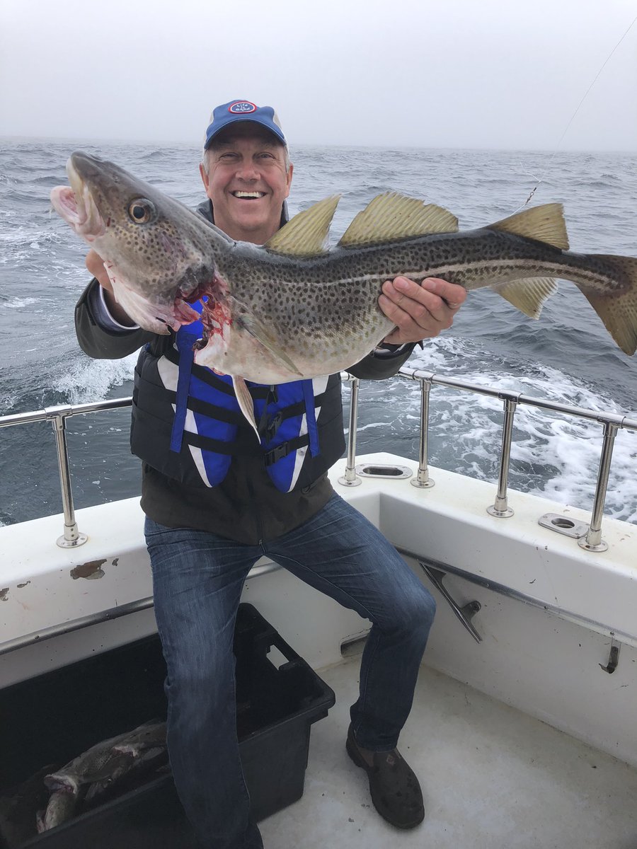 QV Charters tweet media