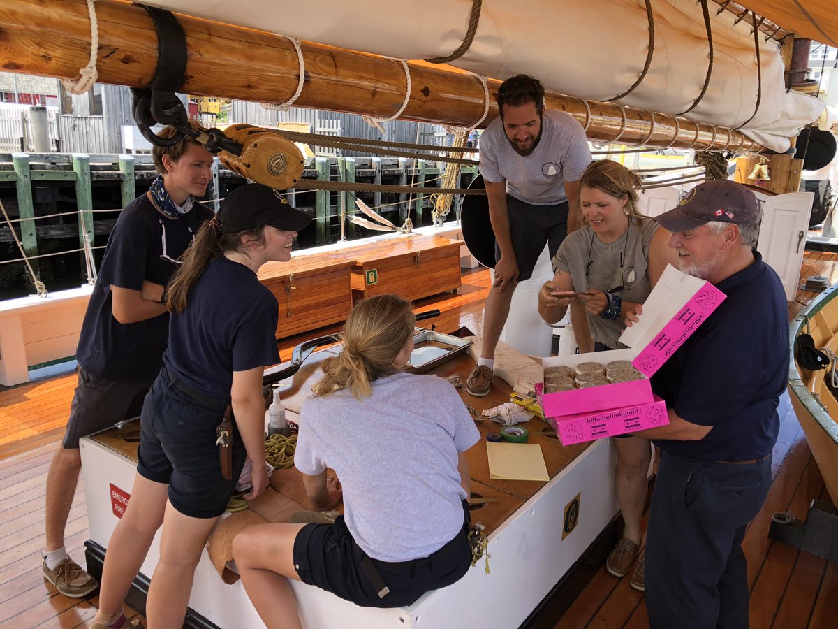 SailBluenoseII's tweet photo. Thank you for the dime donuts, Mark and Sandra! Well done, @VandalDoughnuts - 10/10. 👏

#truetothedime #donuts #bluenose #bluenoseii #dime #dimes https://t.co/z005yraRMH