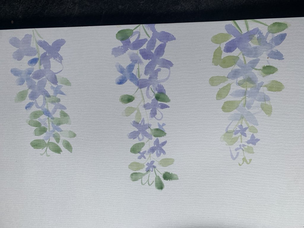 tuesdaysowerby's tweet photo. The photo is upside. They were supposed to be delphiniums but they look a lot more like wisteria so we are saying they are wisteria 😌 https://t.co/iOmzNvoDz2