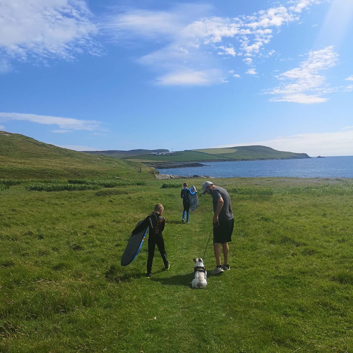 IngridWebb68's tweet photo. Off to the beach. ♥️Shetland at its best. https://t.co/YFCNTQuqJk