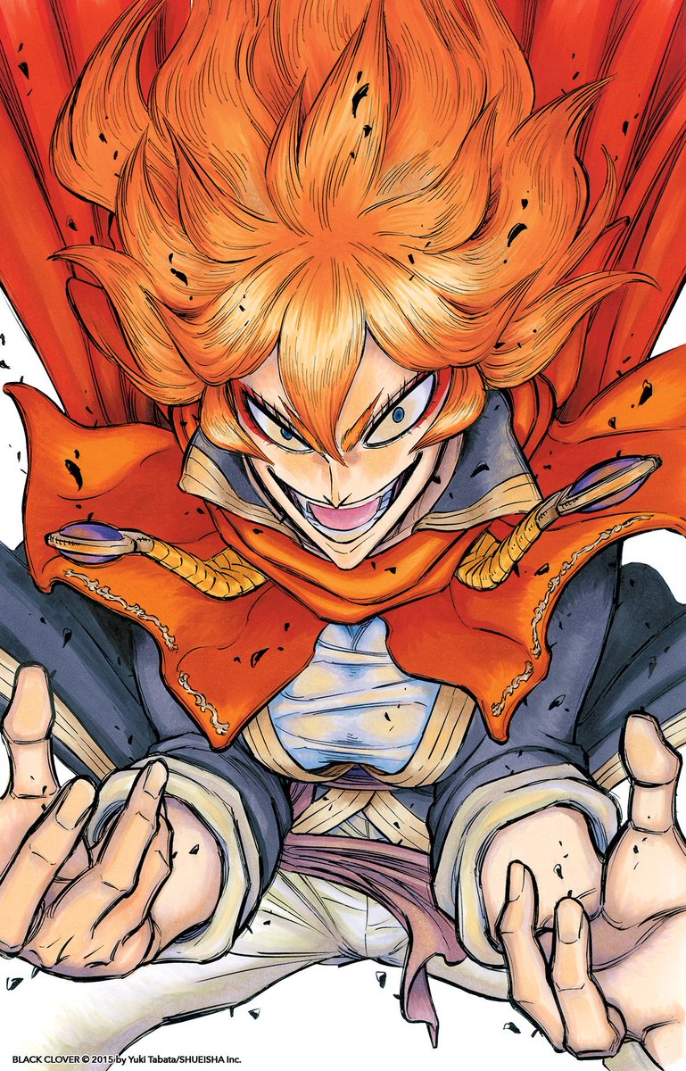 VIZMedia tweet picture