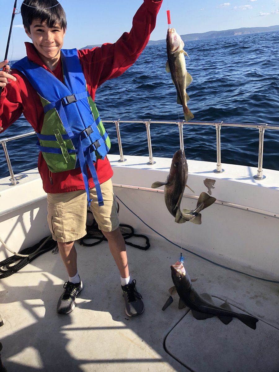 QV Charters tweet media