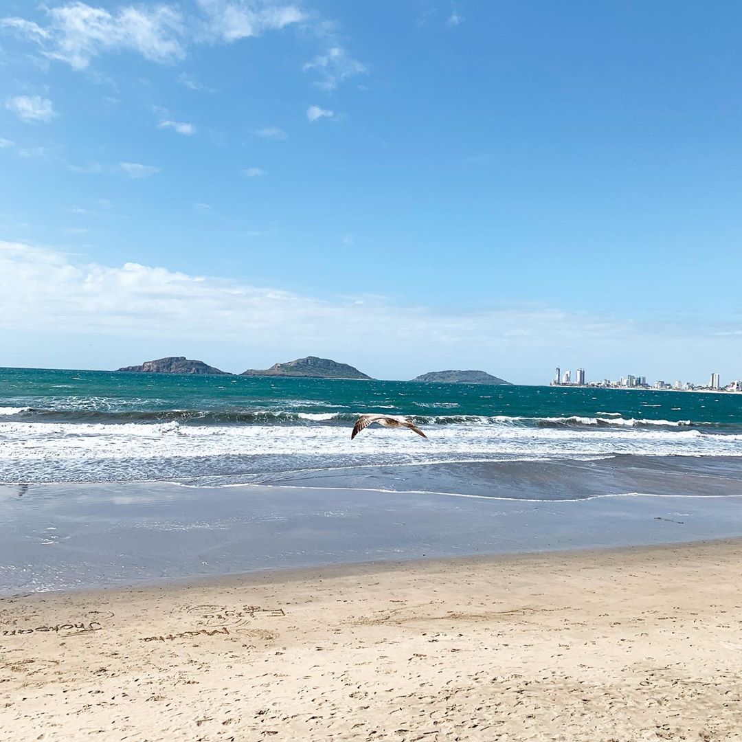 MiLindoMazatlan's tweet photo. Buenos días desde el hermoso puerto de #Mazatlán 😍♥️ https://t.co/B3S8L6qBuq