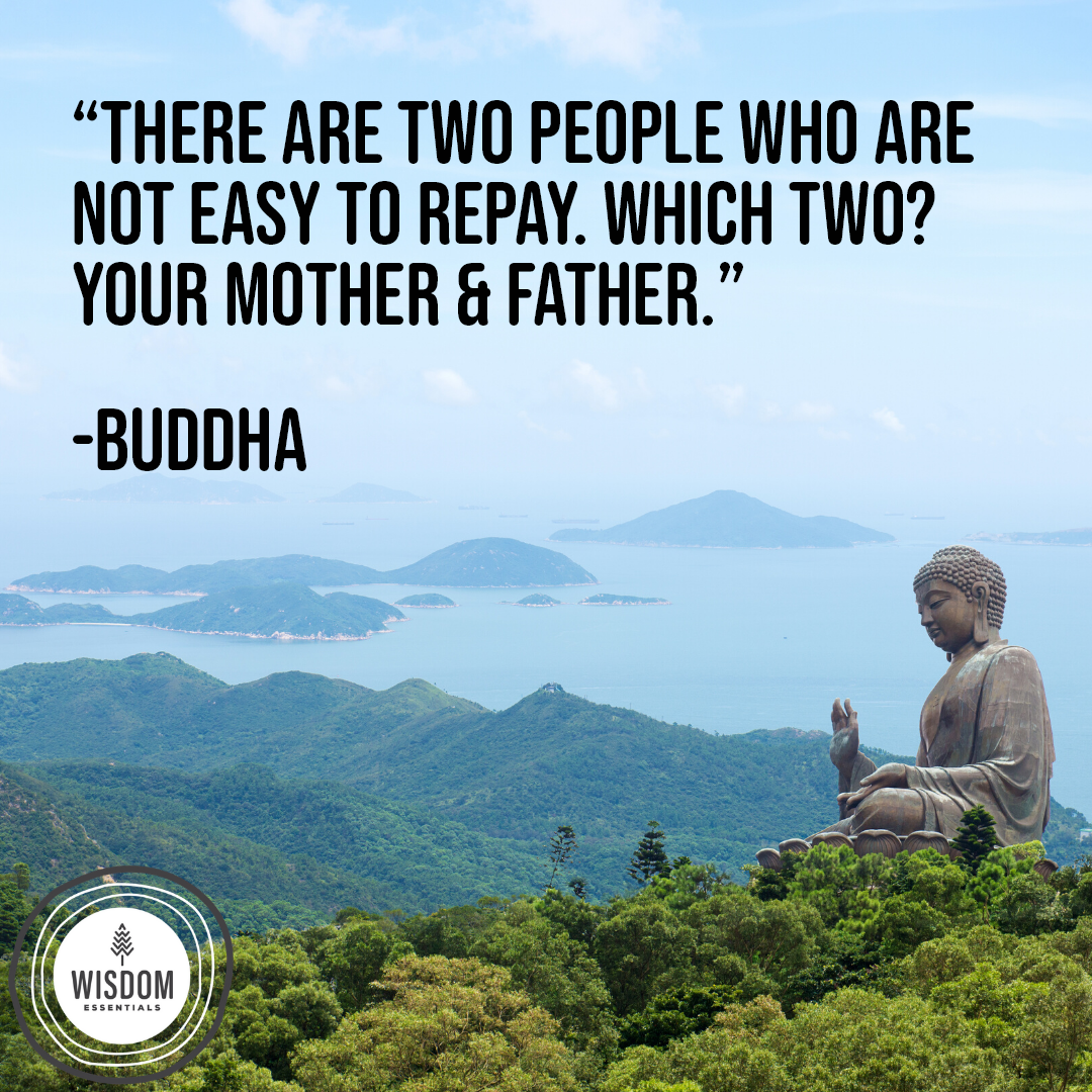 ModernMidLifer's tweet photo. In honor of #nationalparentsday, we want to celebrate parents all over the world that are the champions. What has your parent taught you that you’re forever grateful for?
#midlife #wisdomessentials #mindbodyspirit https://t.co/Oav0qyERWW