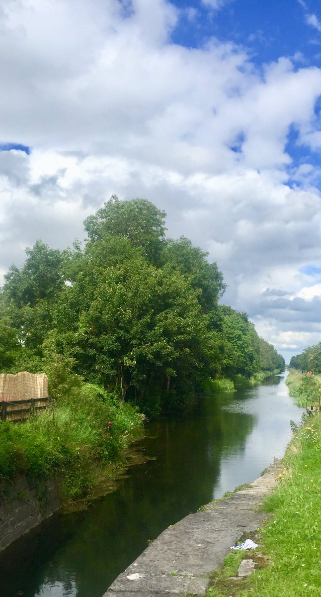 BrendaKingFI's tweet photo. #Sundaylunch spot @CliffatLyons #Home of @Aimsir_Rest #grandcanalwalks #supportlocaltourism #respectsocialdistancing #LoveKildare 💚☘️ https://t.co/E308DpIz5Y