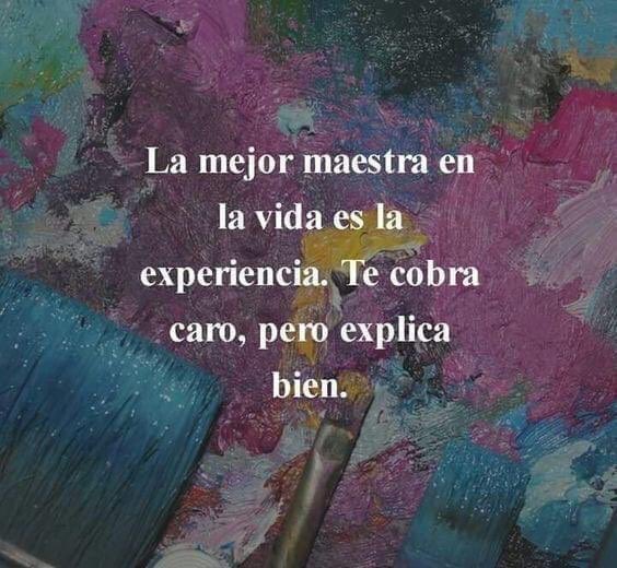 Dr_Blazquez's tweet photo. Reflexión... vía @pilar_gpradas https://t.co/AbHmHEYSlN