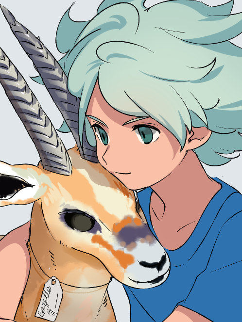 はありませ イナズマイレブン 涼野風介 ガゼルの通販 by asuteroid