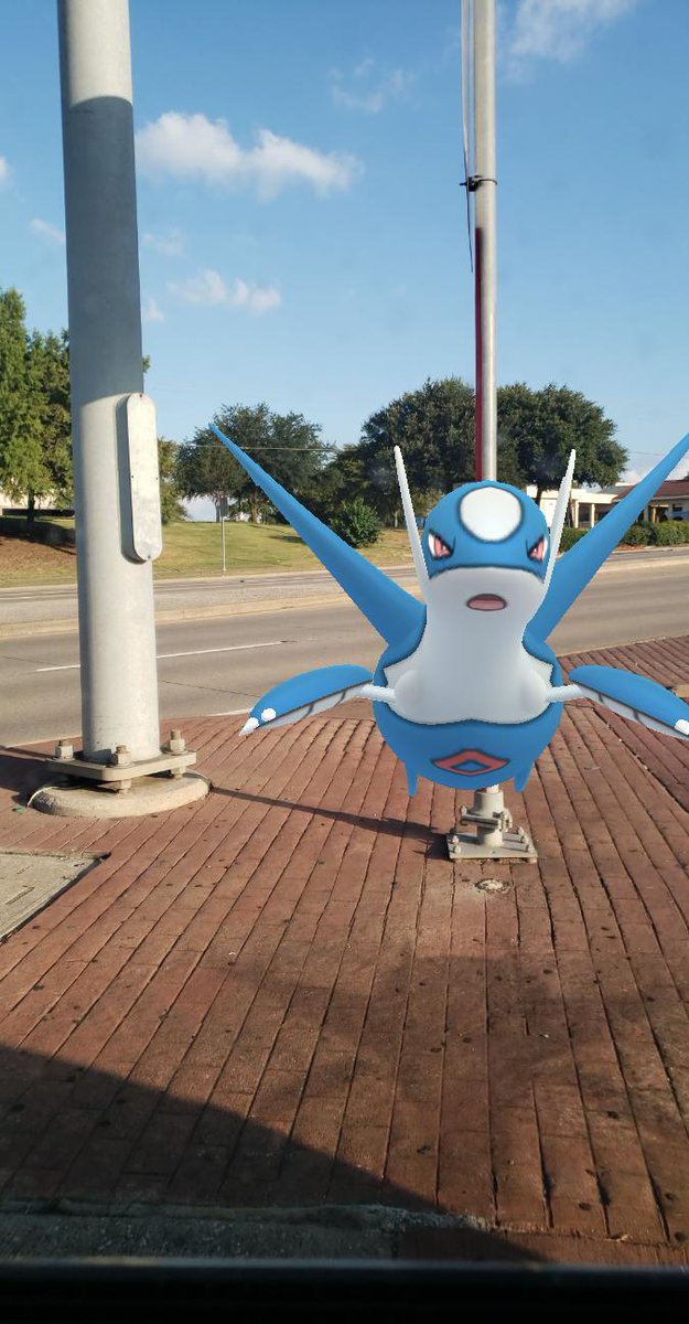 ChaoticCheMissG's tweet photo. #PokemonGOFest2020 https://t.co/EM2rhDiQ1d