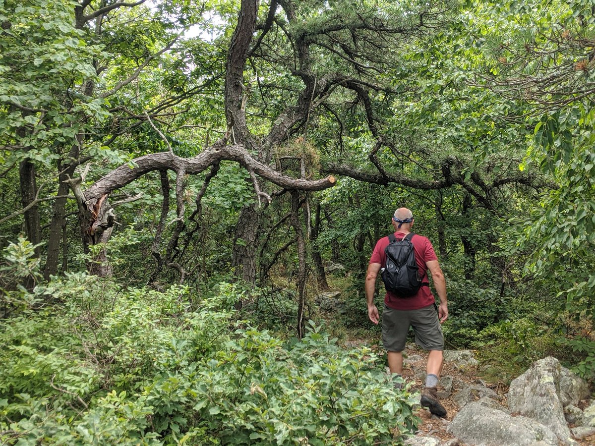 jen1cam's tweet photo. Yesterday at High Point State Park in the NorthWest corner of NJ.  Nice easy day of hiking, although a bit hot and muggy. #HighPointStatePark #NewJersey #hiking https://t.co/8LVWrxjE6g