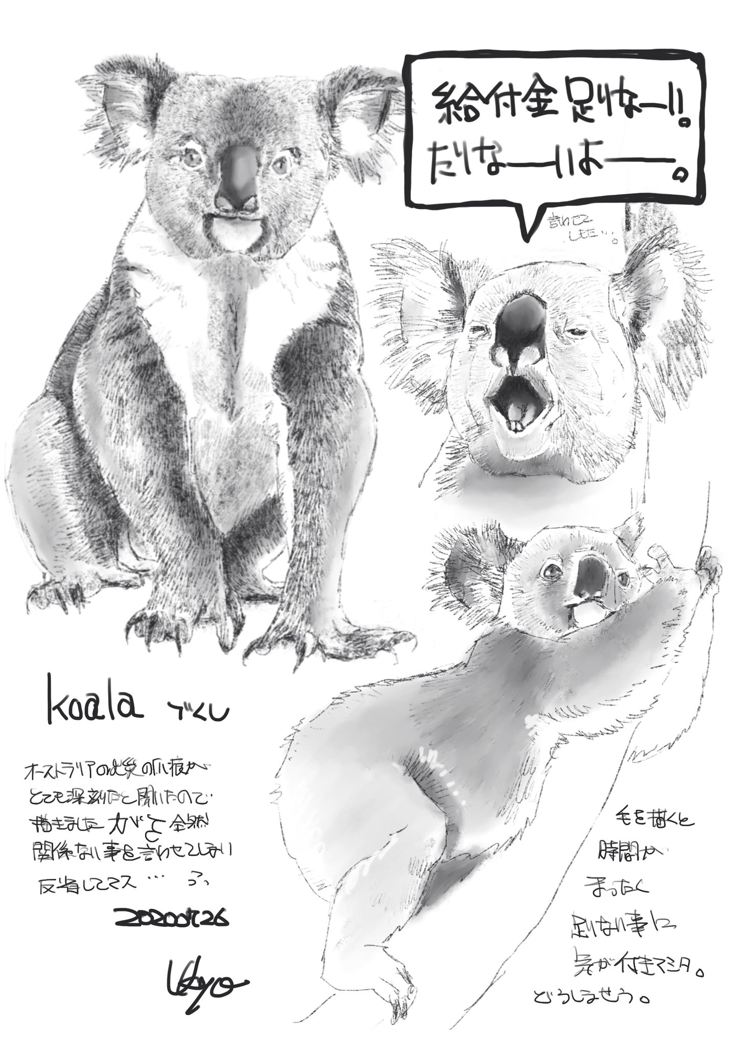 Kagetsu Ukyo 卯京 華月 Sur Twitter 今日の落書き コアラ づくし オーストラリアの火災の爪痕が深刻だと知ったので描きましたが余計な事言わせてしまいましたごめんなさい 落書き 鉛筆画 デジタル画 デザイン 練習 素描 一日一絵 今日の落書き