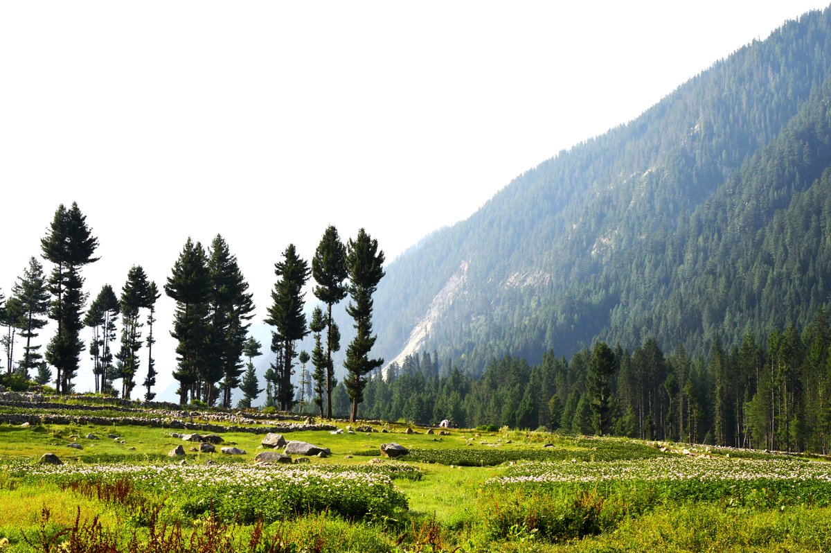 DIRLowerDotCOM's tweet photo. You want to see heaven on Earth, come to #Kumrat and see the Heaven on Earth #BuildDirChitralMotorway to promote these areas @ImranKhanPTI @PervezKhattakPK @Asad_Umar  @FaisalJavedKhan  @AsadQaiserPTI @ShkhRasheed @JahangirKTareen @SMQureshiPTI @bashirkhanPTI https://t.co/uTqlGbRPTt