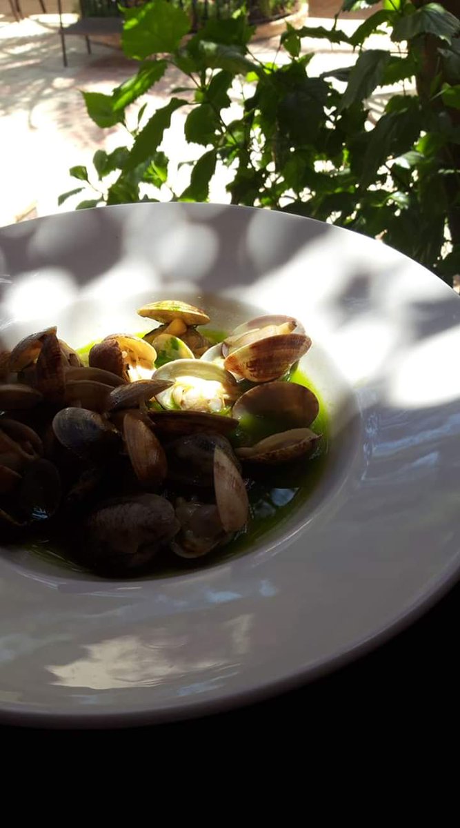 Almoradux's tweet photo. Almejas finas, rehogadas al ajillo con aceite verde de perejil.

Restaurante Almoradux 
☎️ 959 459779
Hinojos 

#cocinadeproducto #mar #mariscos #almejas #verano #Huelva #gastronomíaandaluza #restaurantesHuelva #Hinojos #Doñana https://t.co/cbKXy8g3H0