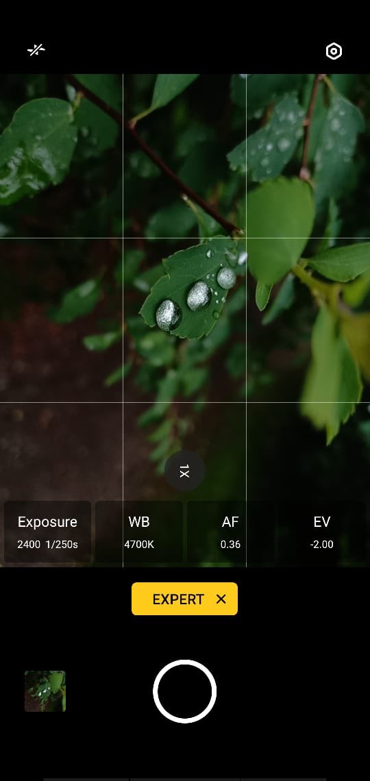 sameerparmar's tweet photo. #throughmymobilelens #noDSLR #noiPhone #nobigbrand #nopostprocessing one needs skill and art, not high end tools to deliver quality https://t.co/R7LwtaBlwT