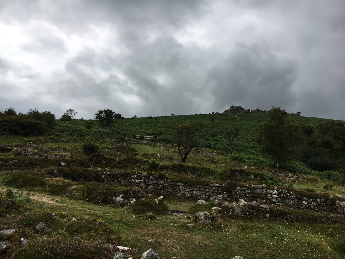 The deserted hamlet at Houndtor was inhabited in the C13-14, the marginal land being settled due to increasing population and warmer weather. 4 longhouses, barns, outbuildings and gardens are set within medieval strip fields #dnparchaeology #dartmoor #dartmoornpa #HistoricEngland