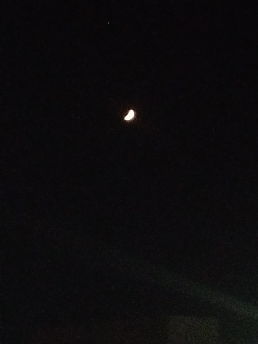 EtherealgIee's tweet photo. That looks like a bean but it's more beautiful in actual •☾.° https://t.co/OufRhyhdra