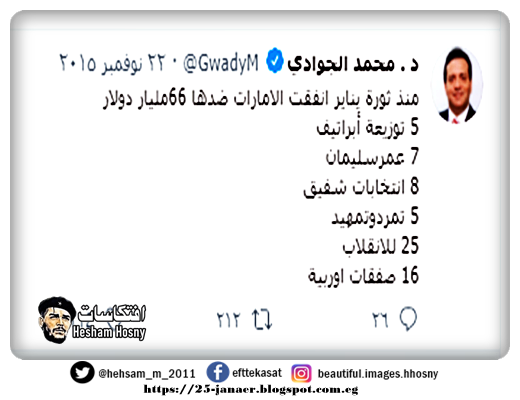 د . محمد الجوادي  منذ ثورة يناير انفقت الامارات ضدها 66مليار دولار