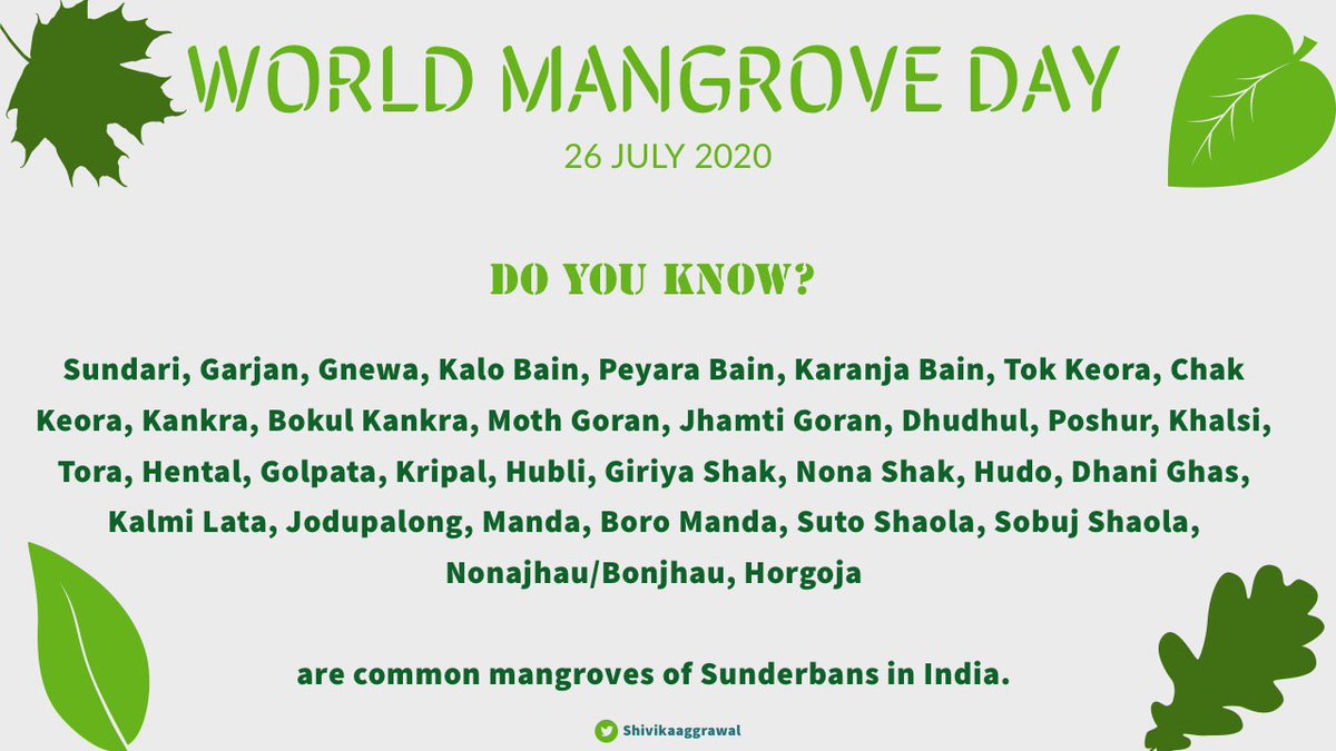 Let's know more about 𝐂𝐨𝐦𝐦𝐨𝐧 𝐌𝐚𝐧𝐠𝐫𝐨𝐯𝐞𝐬 𝐨𝐟 𝐒𝐮𝐧𝐝𝐞𝐫𝐛𝐚𝐧𝐬 this  #WorldMangroveDay2020. For coming one week, I shall be sharing about these unique plants. @ParveenKaswan  @deespeak  @susantananda3  @RandeepHooda  @narendramodi  @LicypriyaK  @ZebaZoariahAhsa