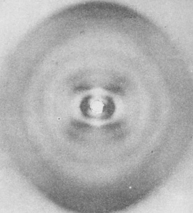 The data from Maurice Wilkens were not of sufficient quality to get all the information W&C needed. Here is his fiber diffraction that was published in the  @nature paper that accompanied W&C's famous paper. You can see the X, but it is otherwise pretty smeary. 4/n