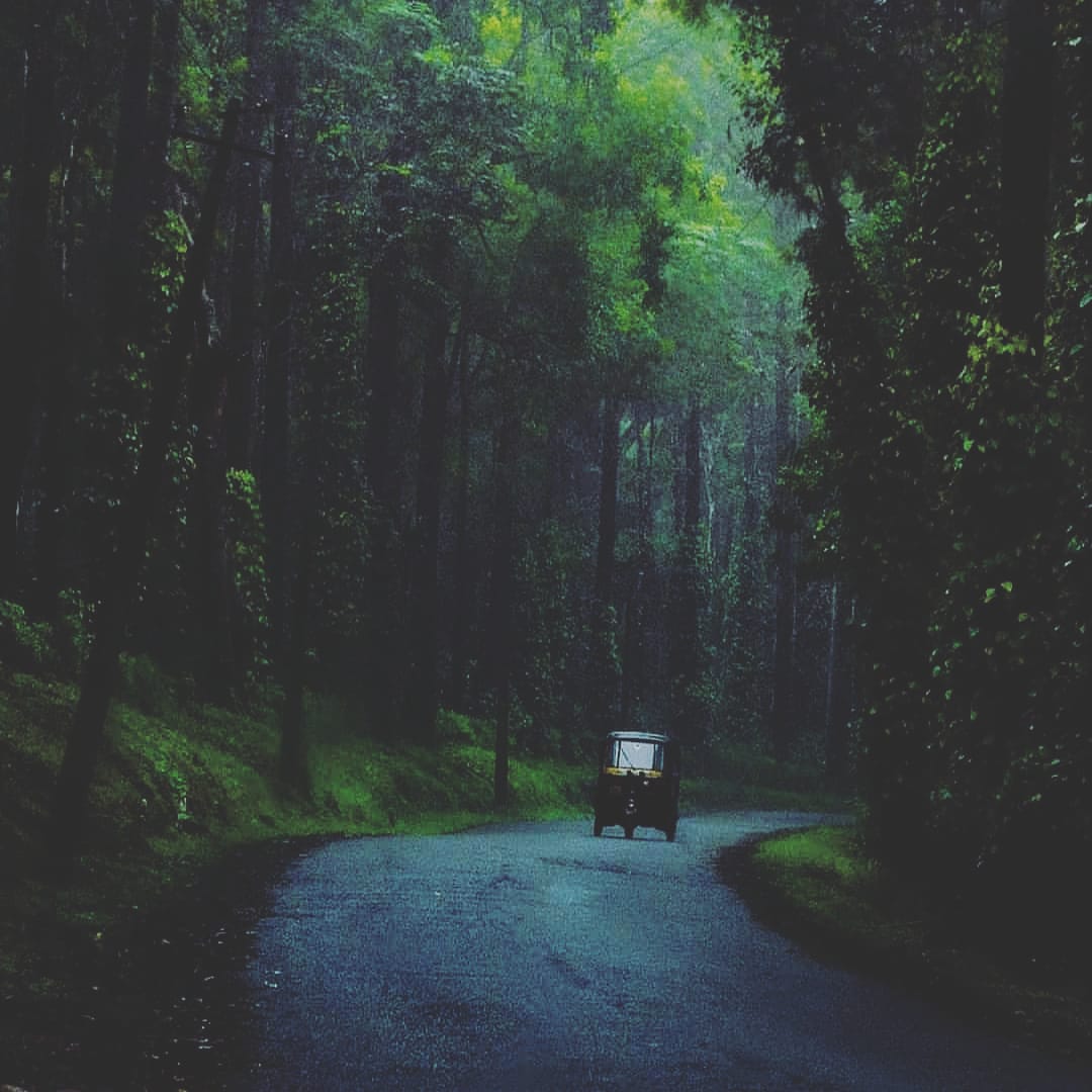 wooadventures's tweet photo. Coorg, Karnataka
📸:@shanthclick 
.
.
.
#wooadventures #RoadTripsLover #traveler #travelingram #travellingthroughtheworld #photooftheday #photography #photoshoot #photo #photographer #amazingview https://t.co/a7QcUf0Dey