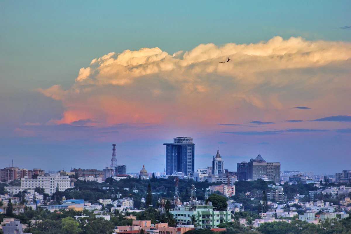 sidverma89's tweet photo. Take to the sky!
#Bangalore #Sky #Bengaluru #Kite #Clouds #City #Skyline https://t.co/gUZwP85Plv