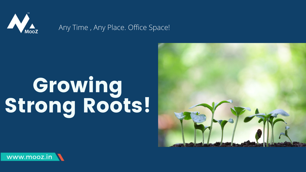 MoozOffices's tweet photo. Grow Your Business by Focusing on Your Roots!

Book a tour at MooZ
https://t.co/Mnf7zqfVKn

#moozoffices #sharedoffice #sharedcommunity #coworking #coworkingspace #officespace #growyourbusiness #growstronger #privateoffice #premiumoffice #managedofficespace #managedoffice https://t.co/Kp1F7dU4Yg